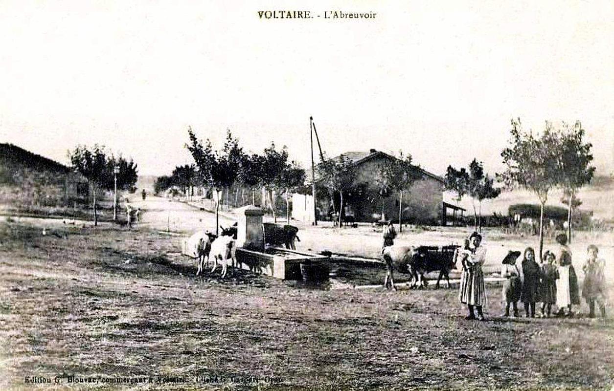 1963- Voltaire - L'Abreuvoir.jpg